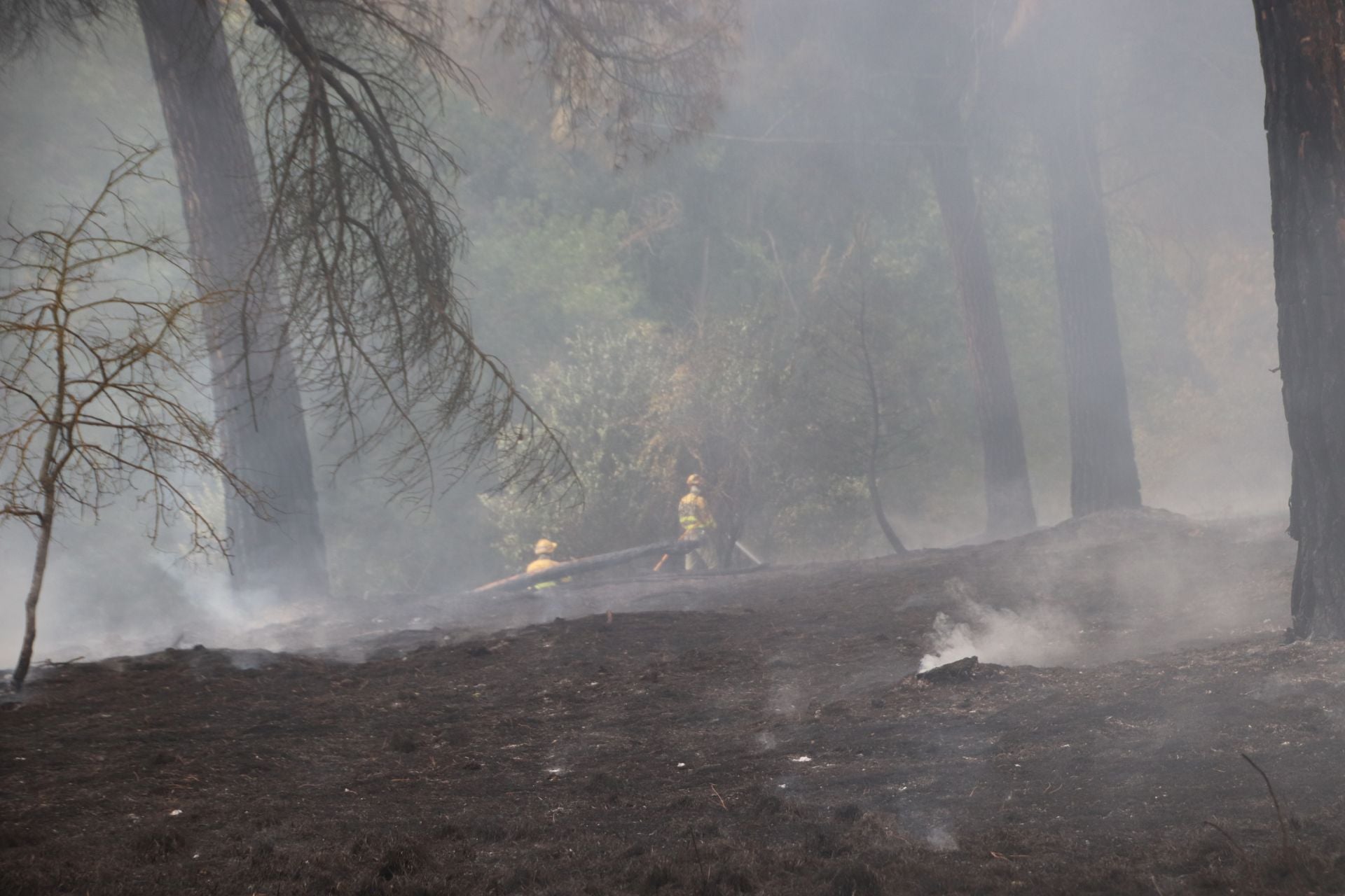Fotos del incendio en Cuéllar junto al río Cega