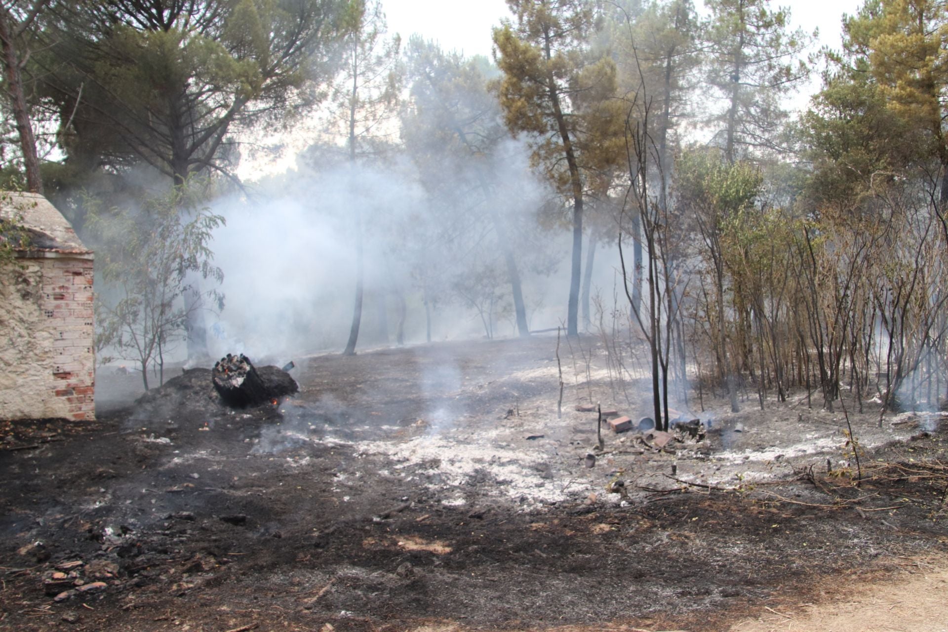 Fotos del incendio en Cuéllar junto al río Cega