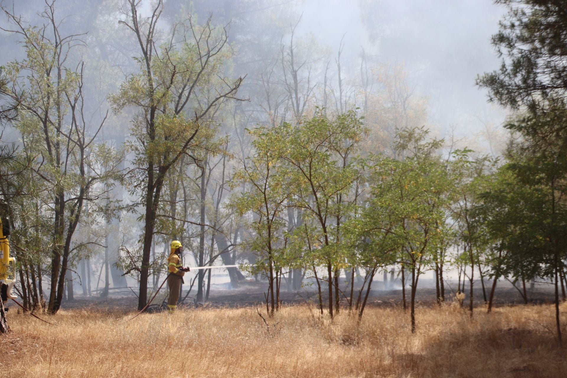 Fotos del incendio en Cuéllar junto al río Cega