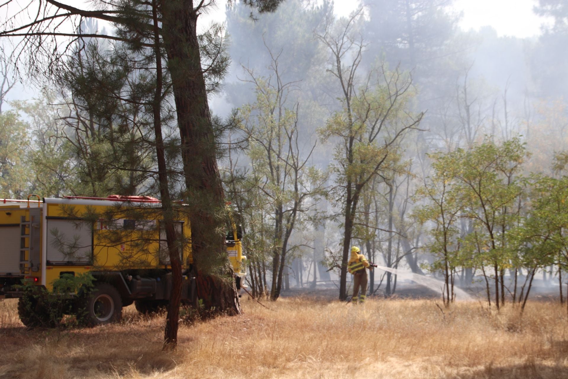 Fotos del incendio en Cuéllar junto al río Cega
