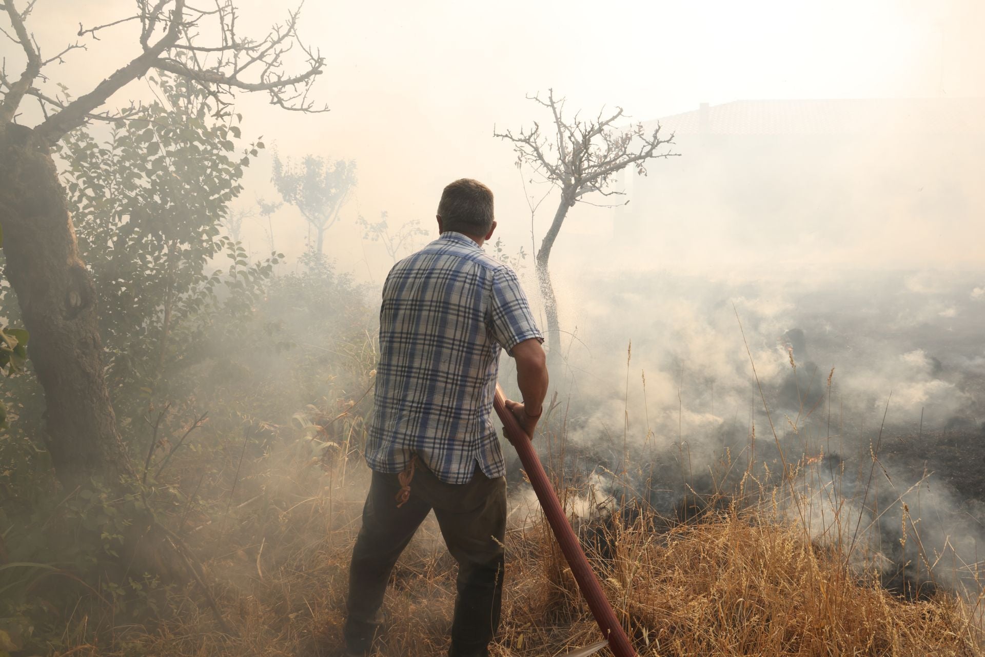 El incendio de Congosta, en imágenes