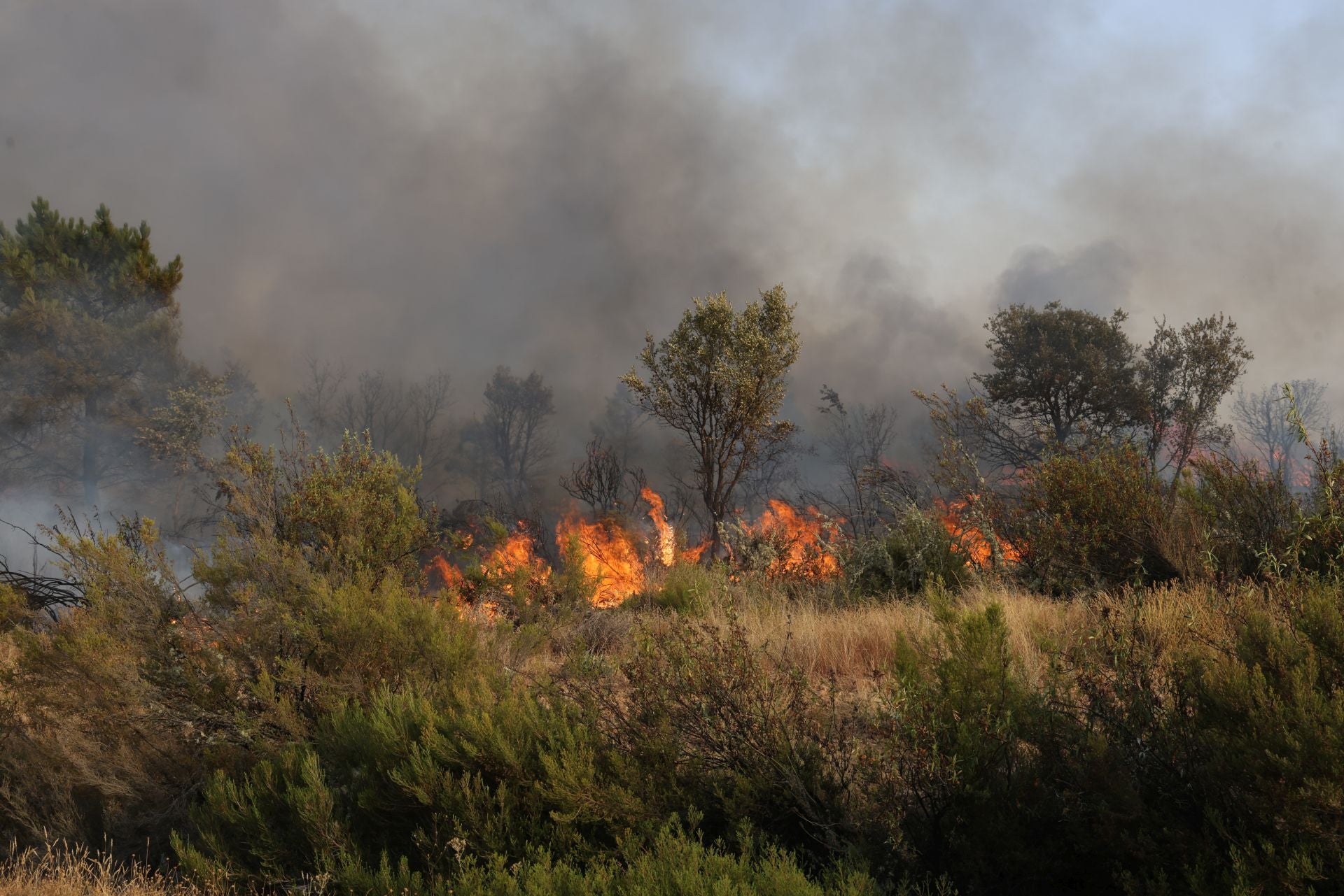 El incendio de Congosta, en imágenes