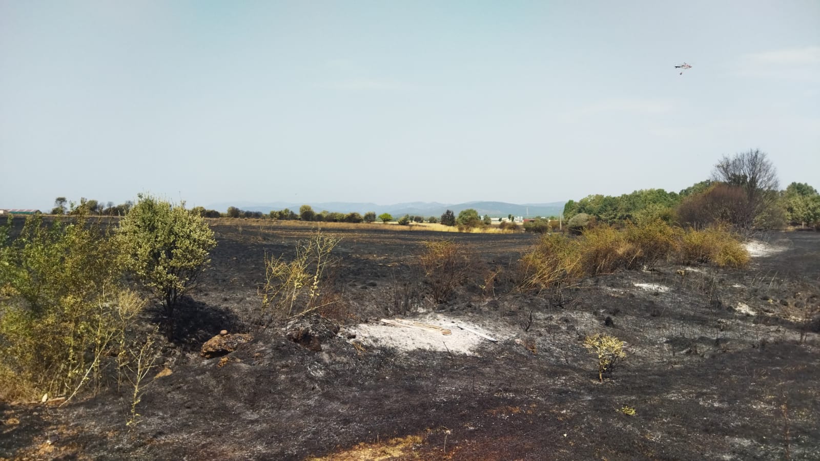 El incendio de Zamora en imágenes