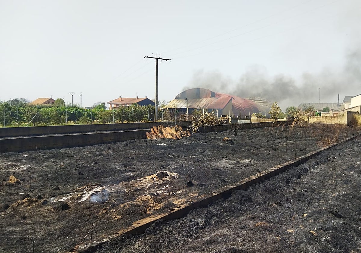El incendio de Zamora en imágenes