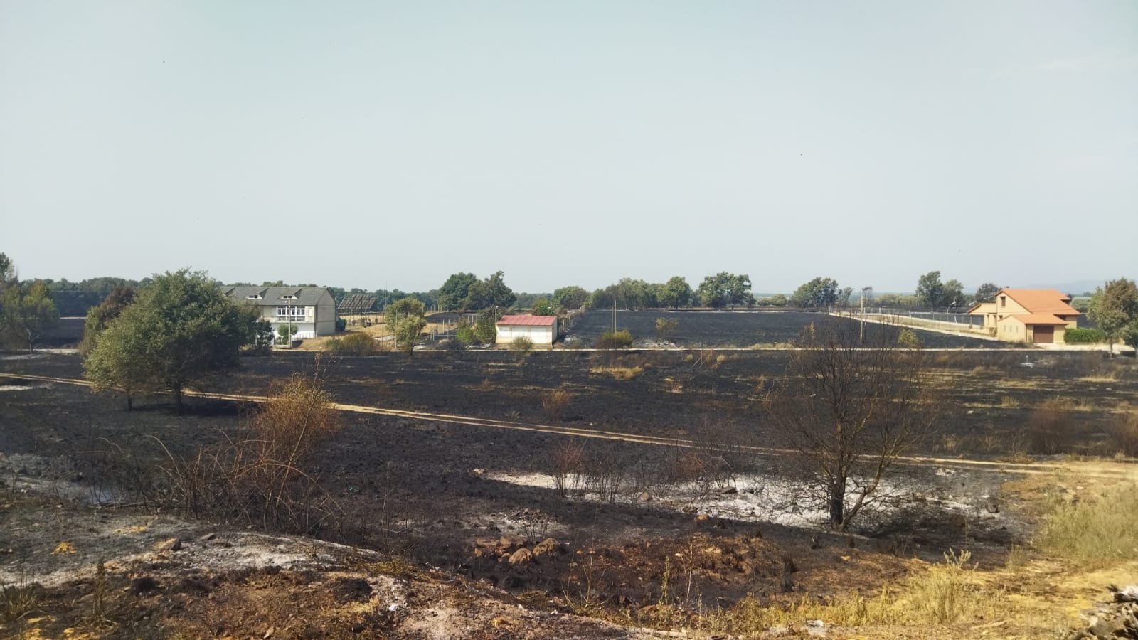 El incendio de Zamora en imágenes