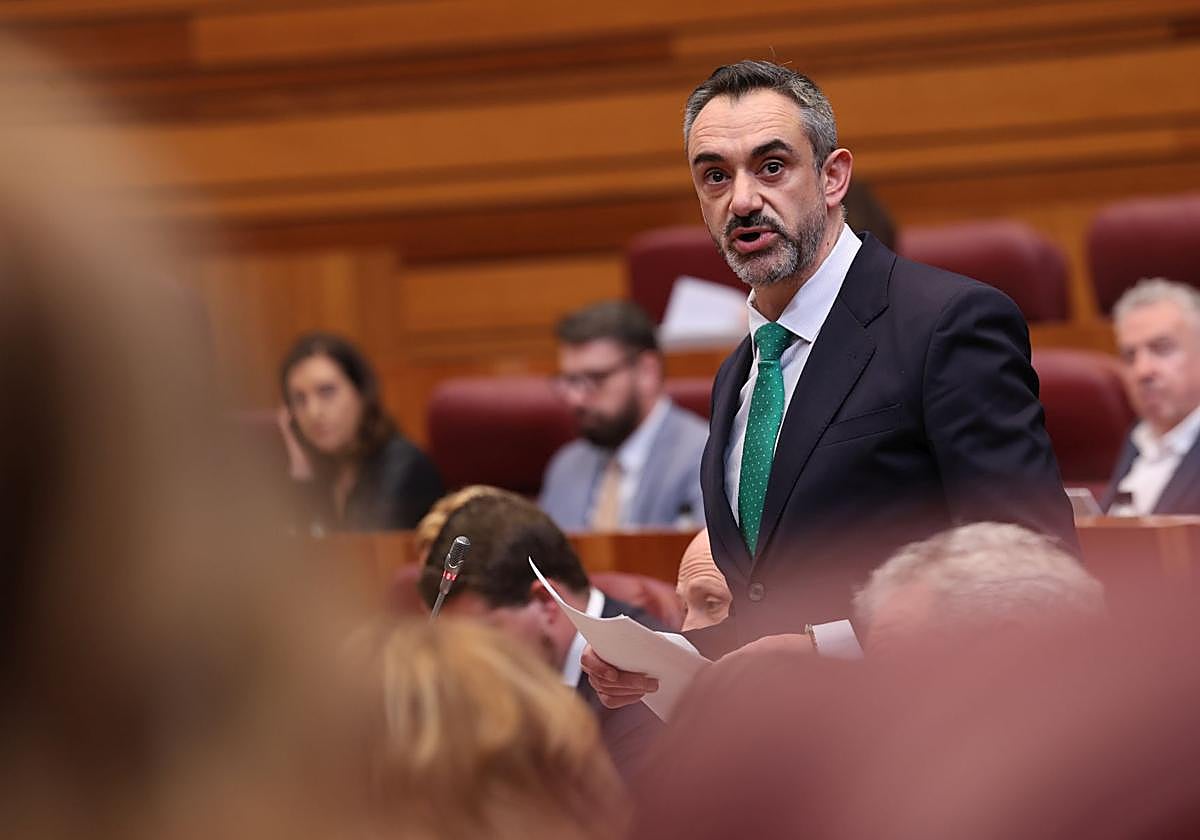 David Hierro, durante un pleno de las Cortes.