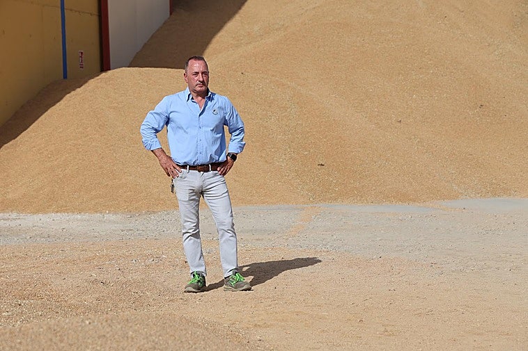 Carlos del Campo, representante de Valladolid en la ACCOE y propietario de Cereales Peñaflor, posa frente a una montaña de cereal.
