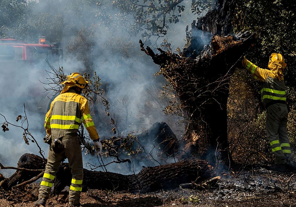 Incendio forestal entre Ciudad Rodrigo y Sancti Spíritus (Salamanca).