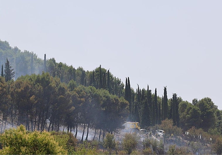 Incendio en el Cerro de San Cristóbal, en Valladolid.