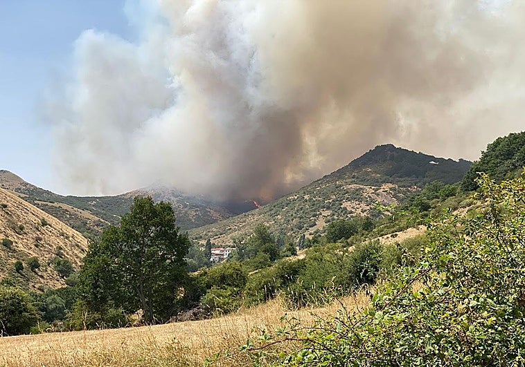 Vista de la Abadía de Lebanza, entre los árboles, cerca del incendio.