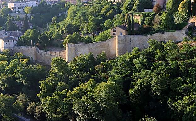 Vegetación en el recinto amurallado de Segovia.