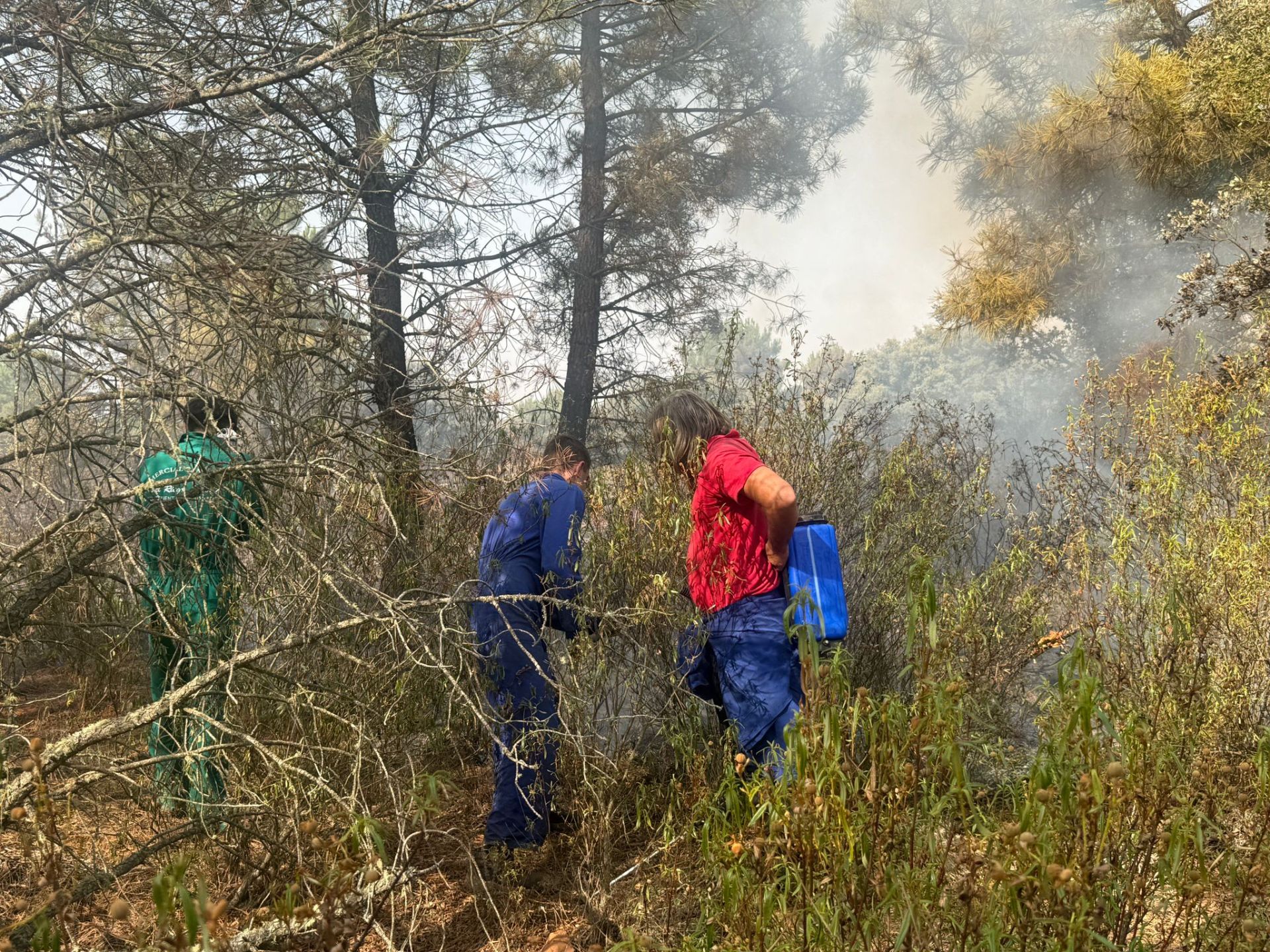 Las imágenes de los vecinos de San Esteban de Nogales