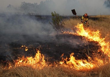 Recomendaciones ante incendios forestales: ¿sabes cómo actuar?
