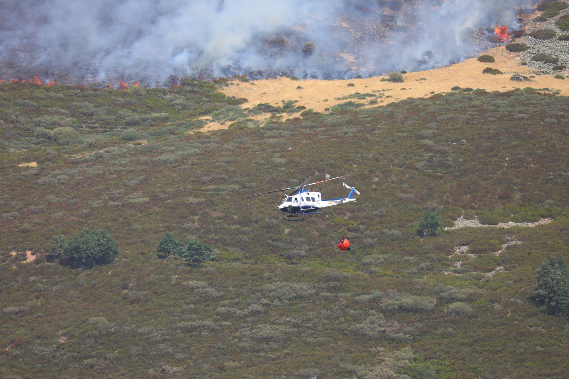 El fuego, de cerca en Peña Carazo, en la Montaña Palentina