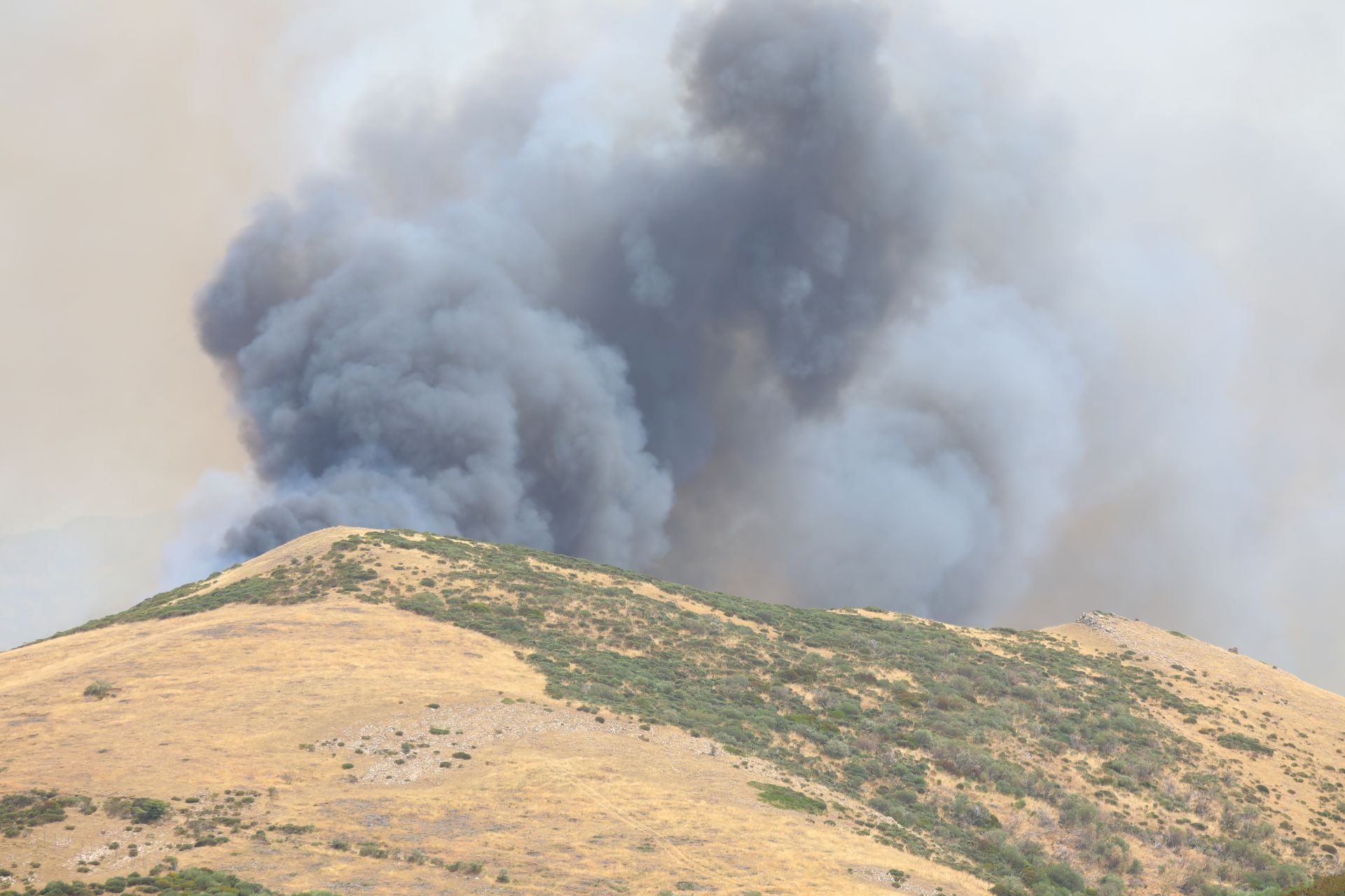 El fuego, de cerca en Peña Carazo, en la Montaña Palentina