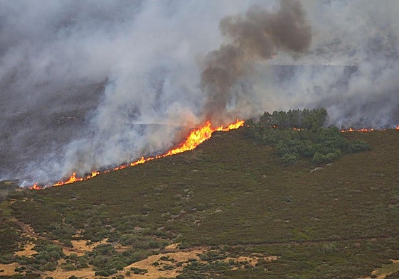 Incendio, cerca de Peña Carazo, en la Montaña Palentina.