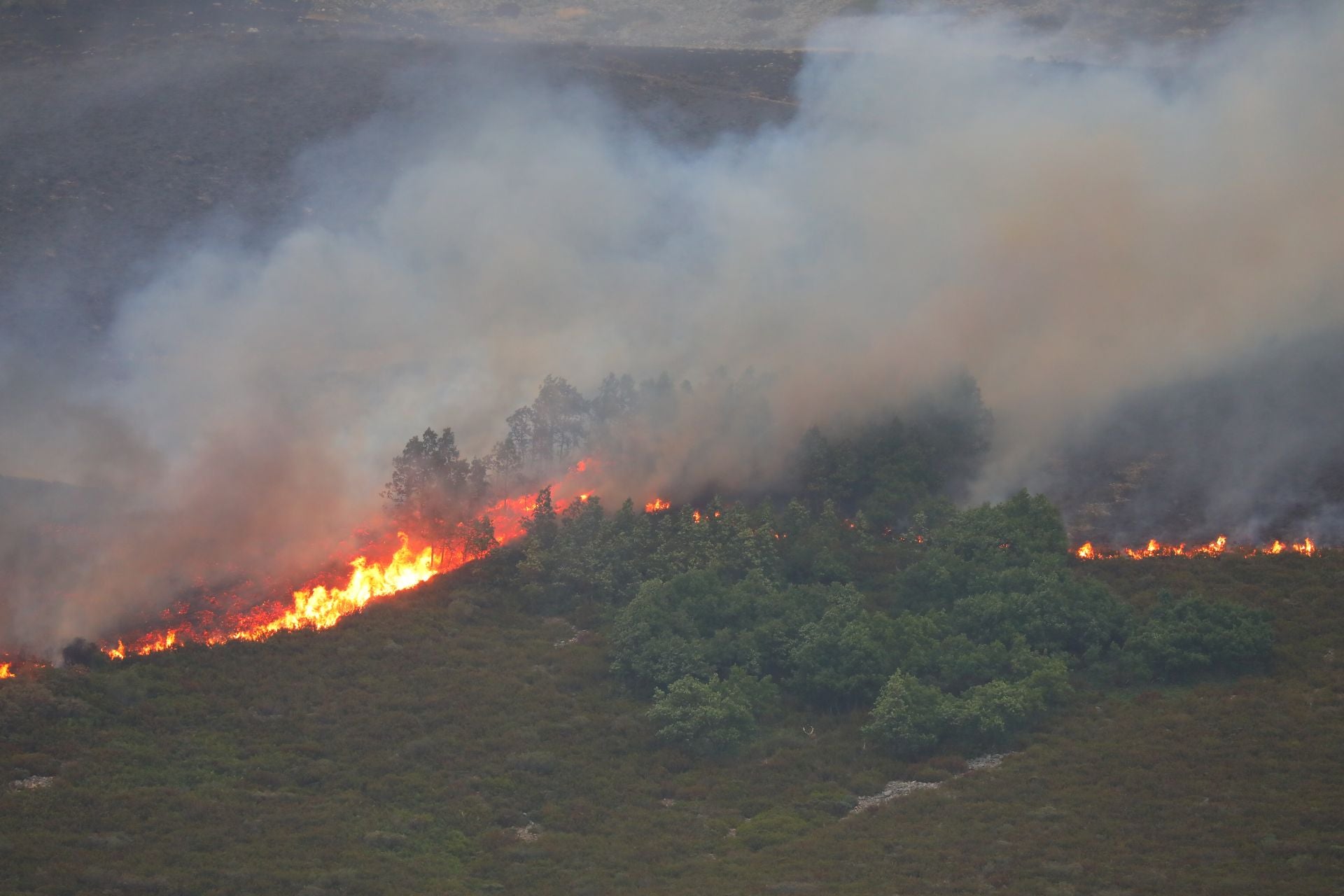 El fuego, de cerca en Peña Carazo, en la Montaña Palentina