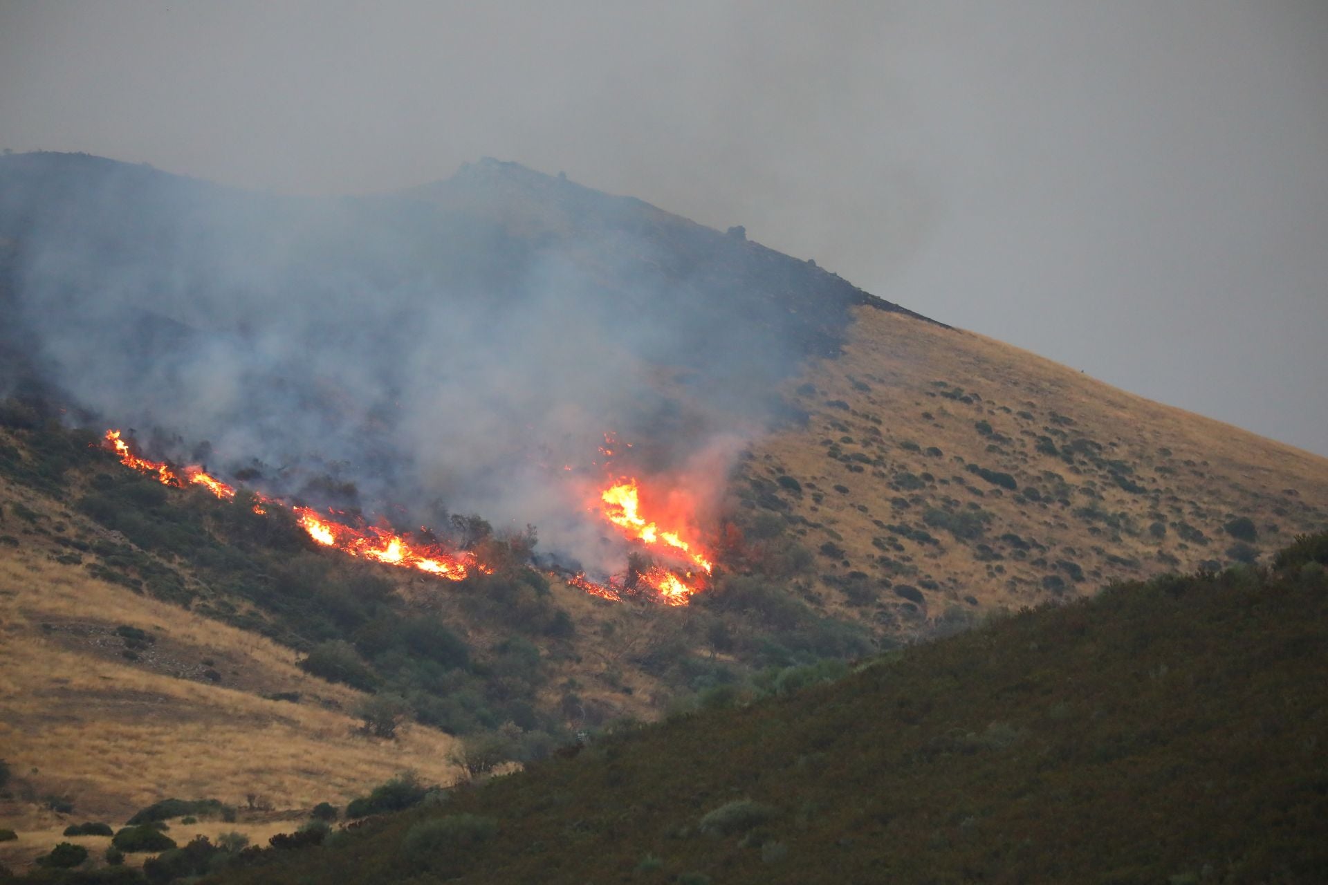 El fuego, de cerca en Peña Carazo, en la Montaña Palentina