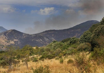 Las imágenes del incendio en la Montaña Palentina