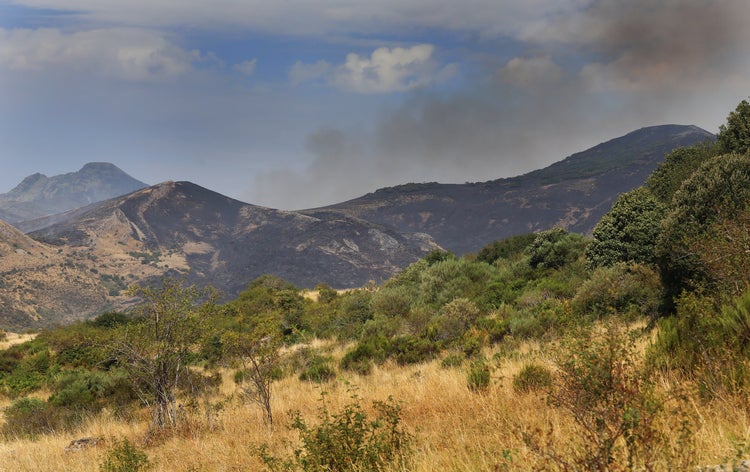 Las imágenes del incendio en la Montaña Palentina
