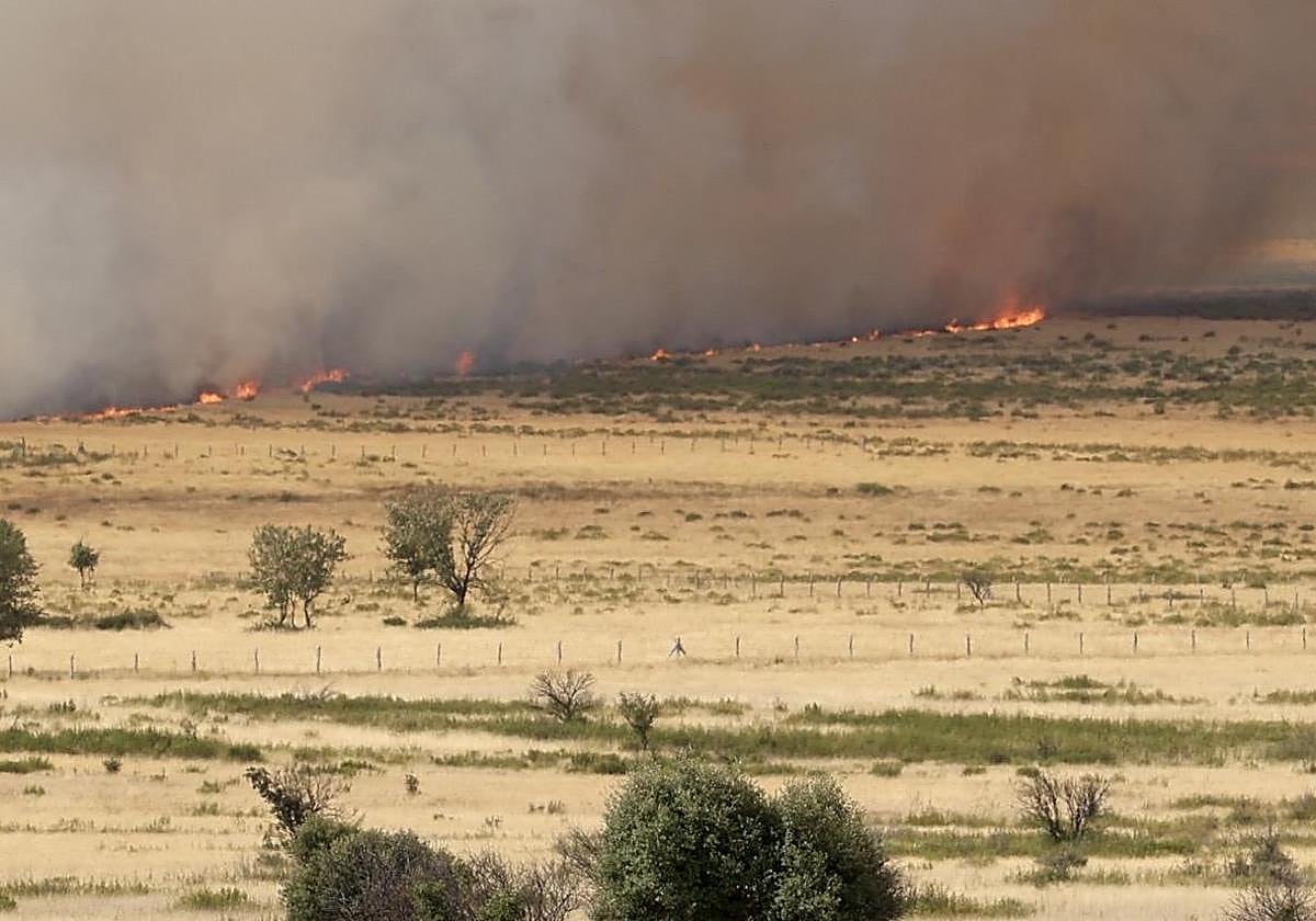 Incendio en el término de Sesnández, este miércoles por la tarde.