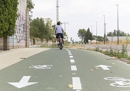 El nuevo carril bici del Camino Viejo de Simancas.
