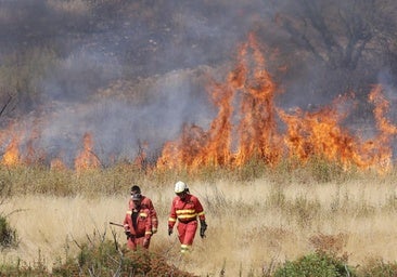 El incendio de Molezuelas se perfila como el más devastador desde que España tiene registros