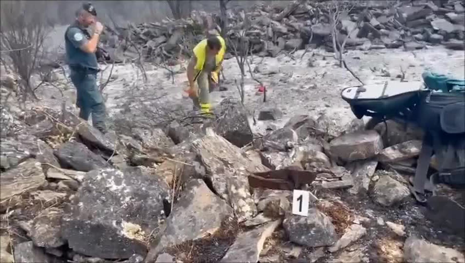 Dos detenidos por provocar los incendios de Mombeltrán y Puercas