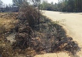 La cuneta donde cayó el coche en el que iban los heridos (y que fue retirado el pasado miércoles).