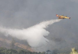 Los medios aéreos intentar sofocar el incendio que afecta a la frontera entre Zamora (Castromil) y Galicia