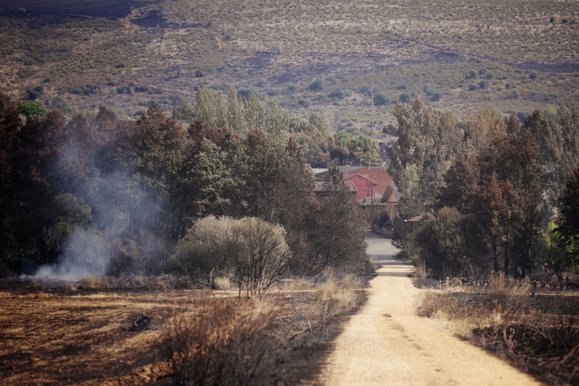 Realojados de Carracedo de Vidriales y Ayoó