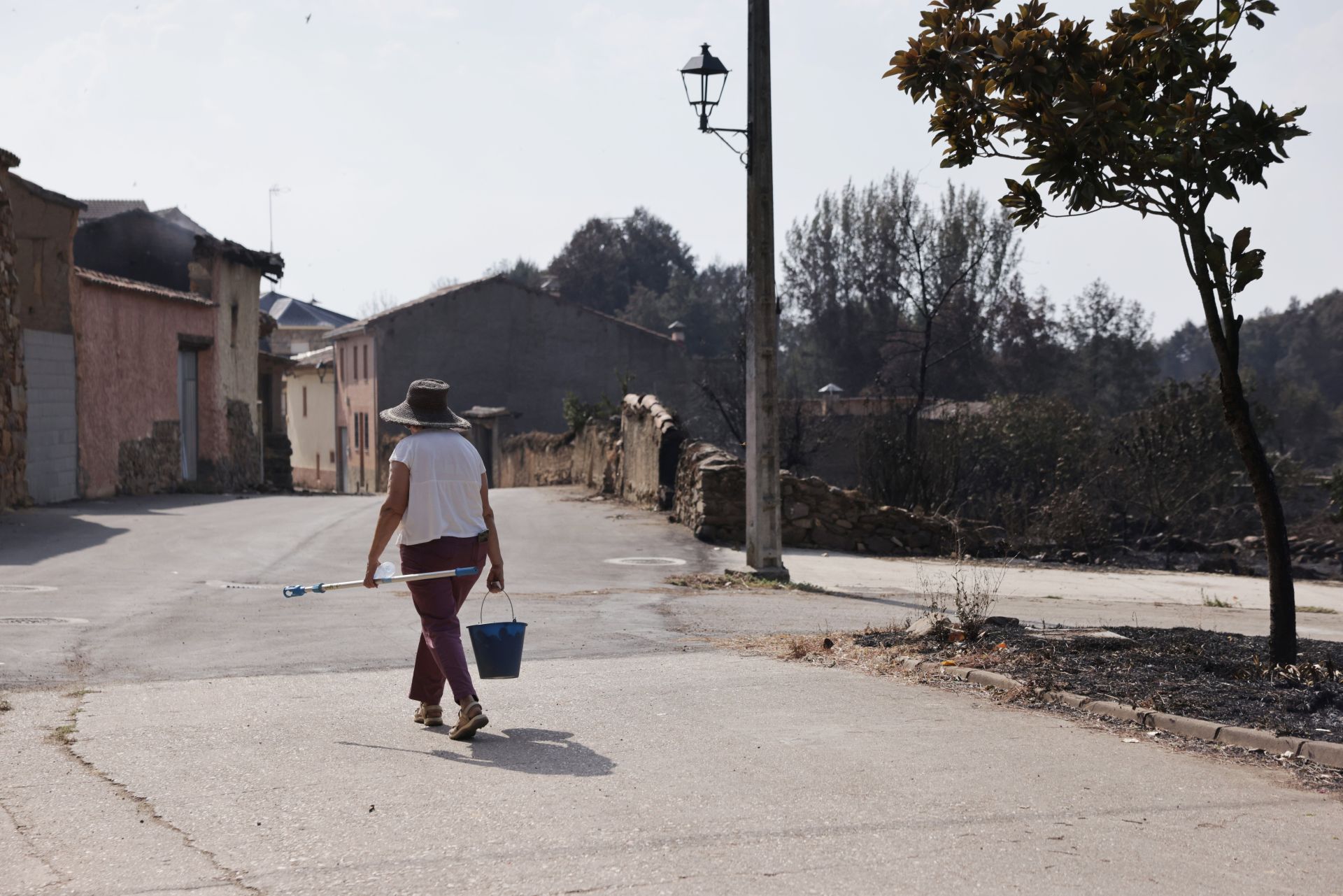 Realojados de Carracedo de Vidriales y Ayoó