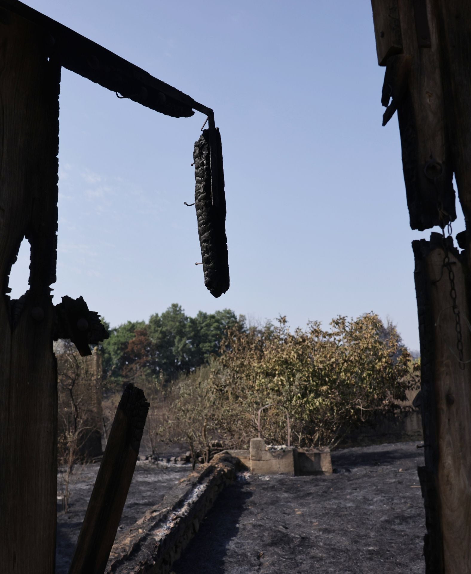 Realojados de Carracedo de Vidriales y Ayoó