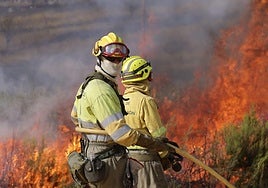 Efectivos de la UME luchan contra el fuego en Abejera.