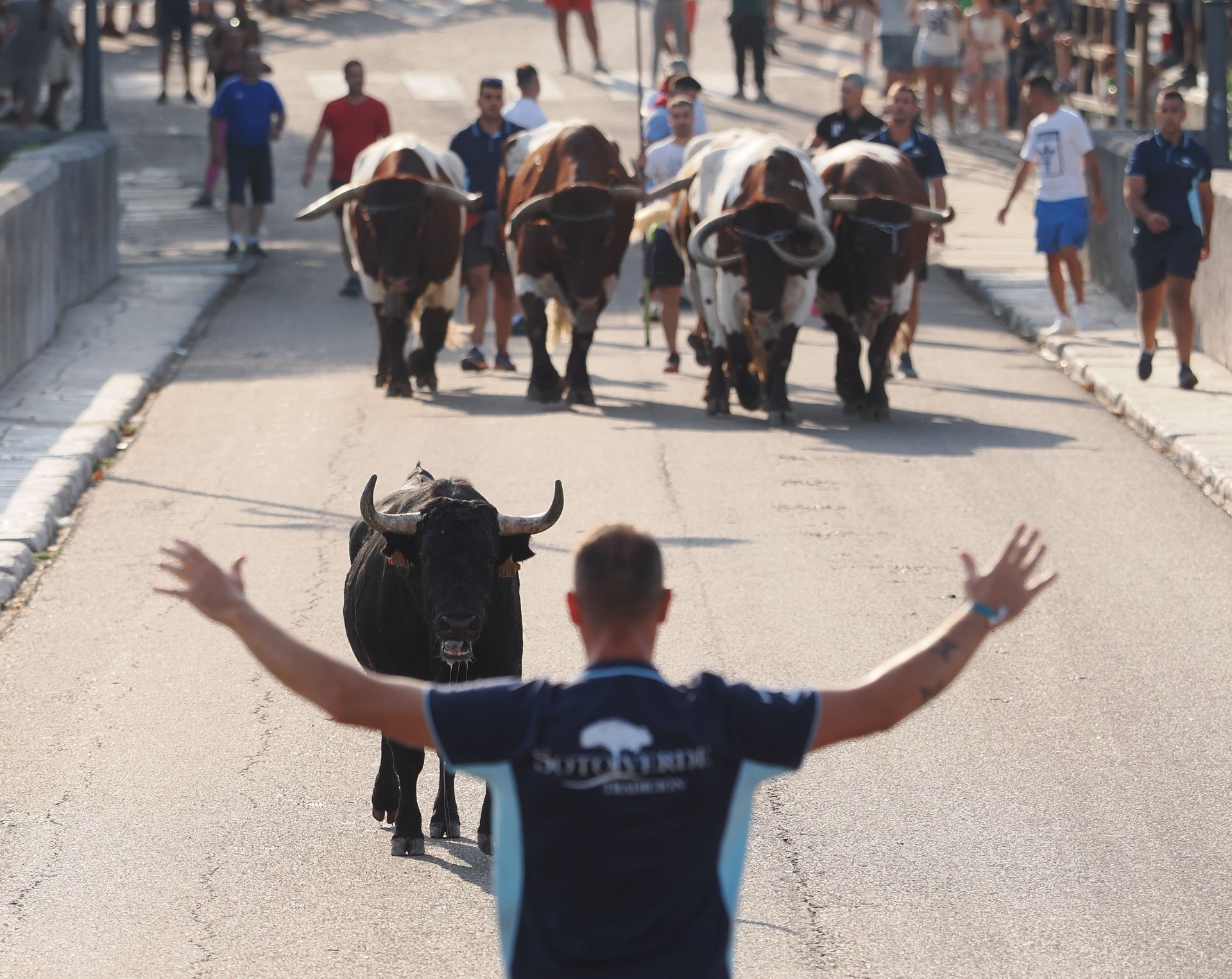 Las imágenes del encierro de Tudela de Duero de este viernes