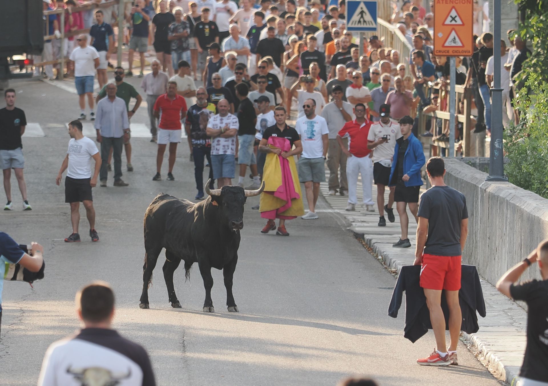 Las imágenes del encierro de Tudela de Duero de este viernes
