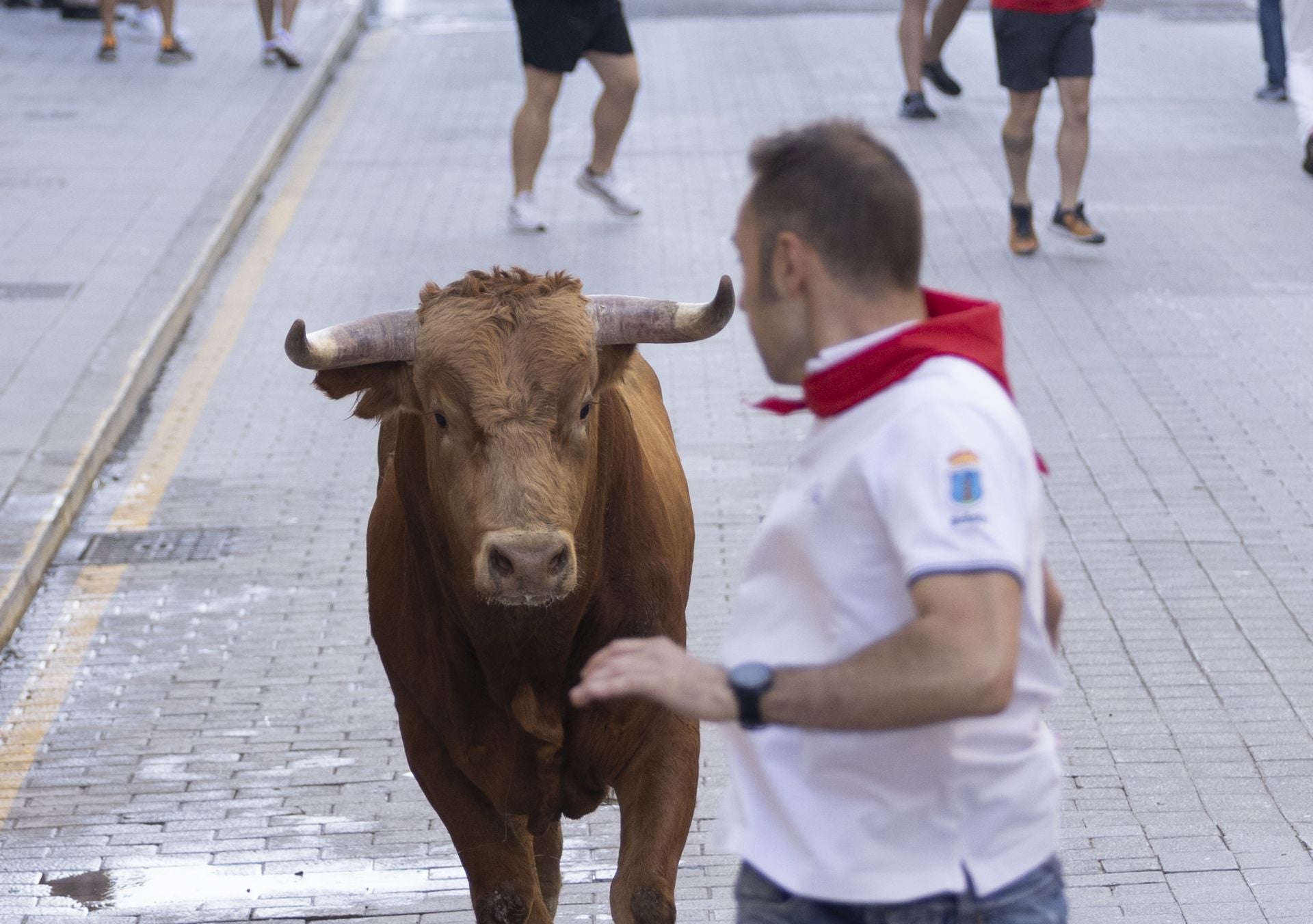 Las imágenes del encierro de Peñafiel de este viernes