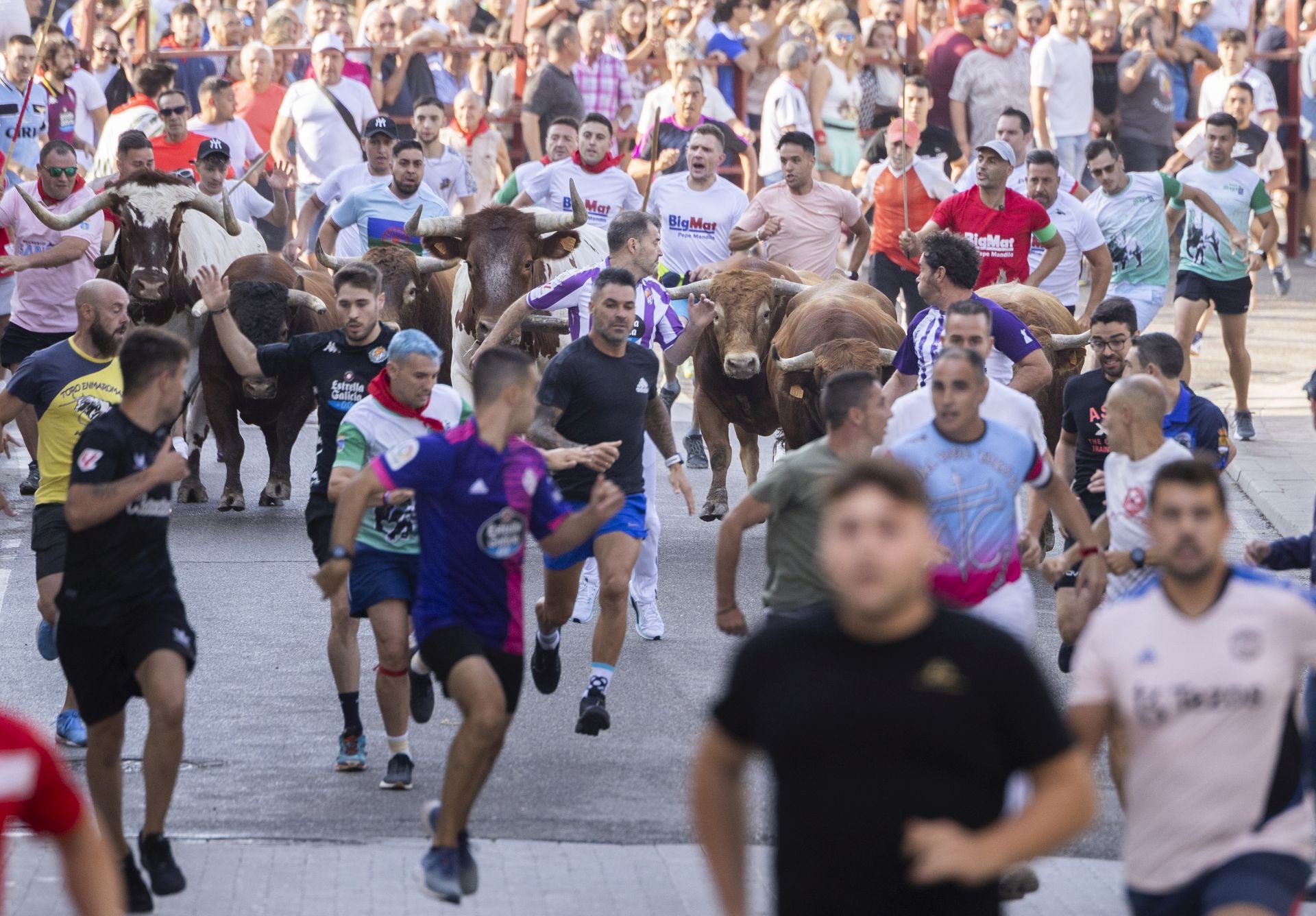 Las imágenes del encierro de Peñafiel de este viernes