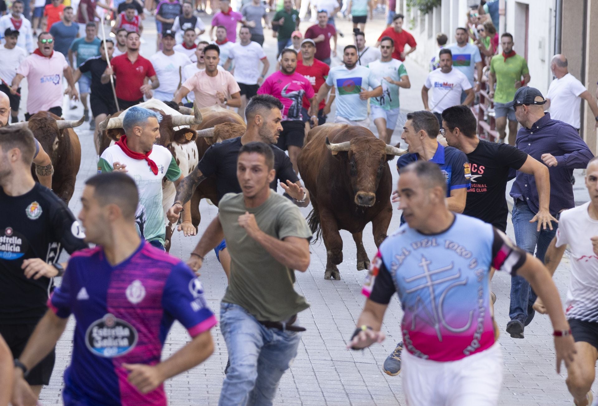 Las imágenes del encierro de Peñafiel de este viernes