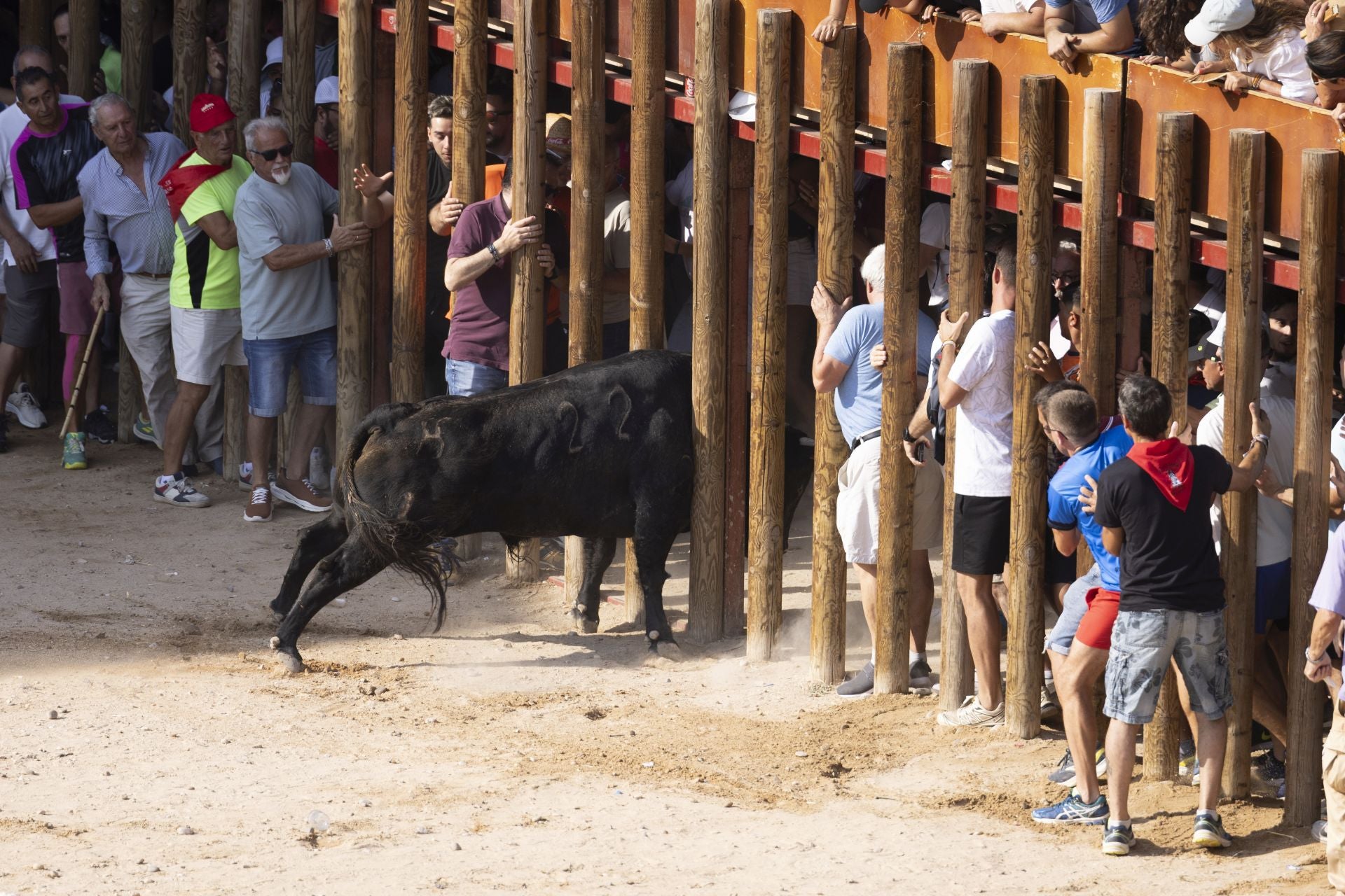 Las imágenes del encierro de Peñafiel de este viernes