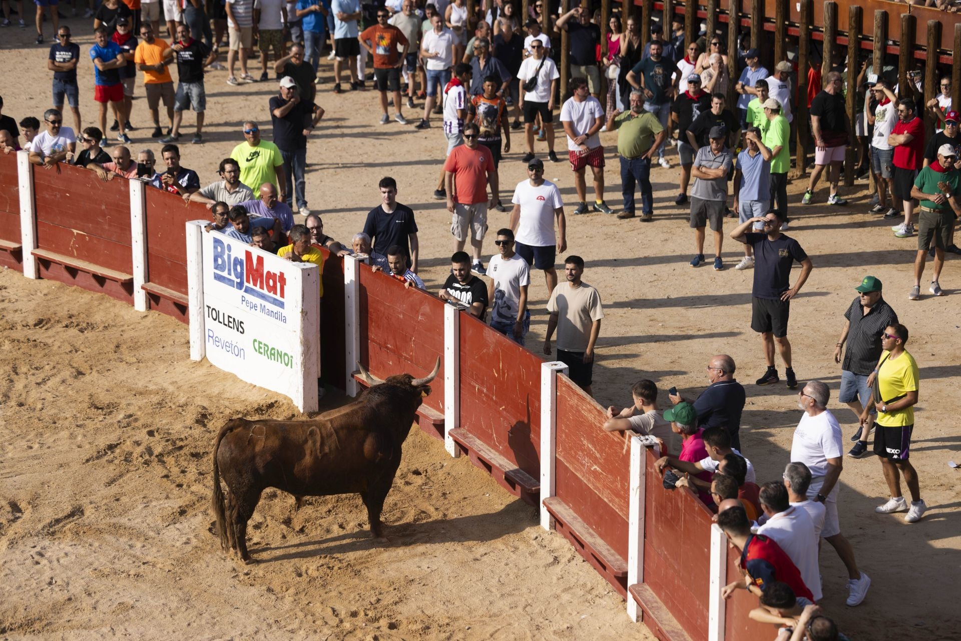 Las imágenes del encierro de Peñafiel de este viernes