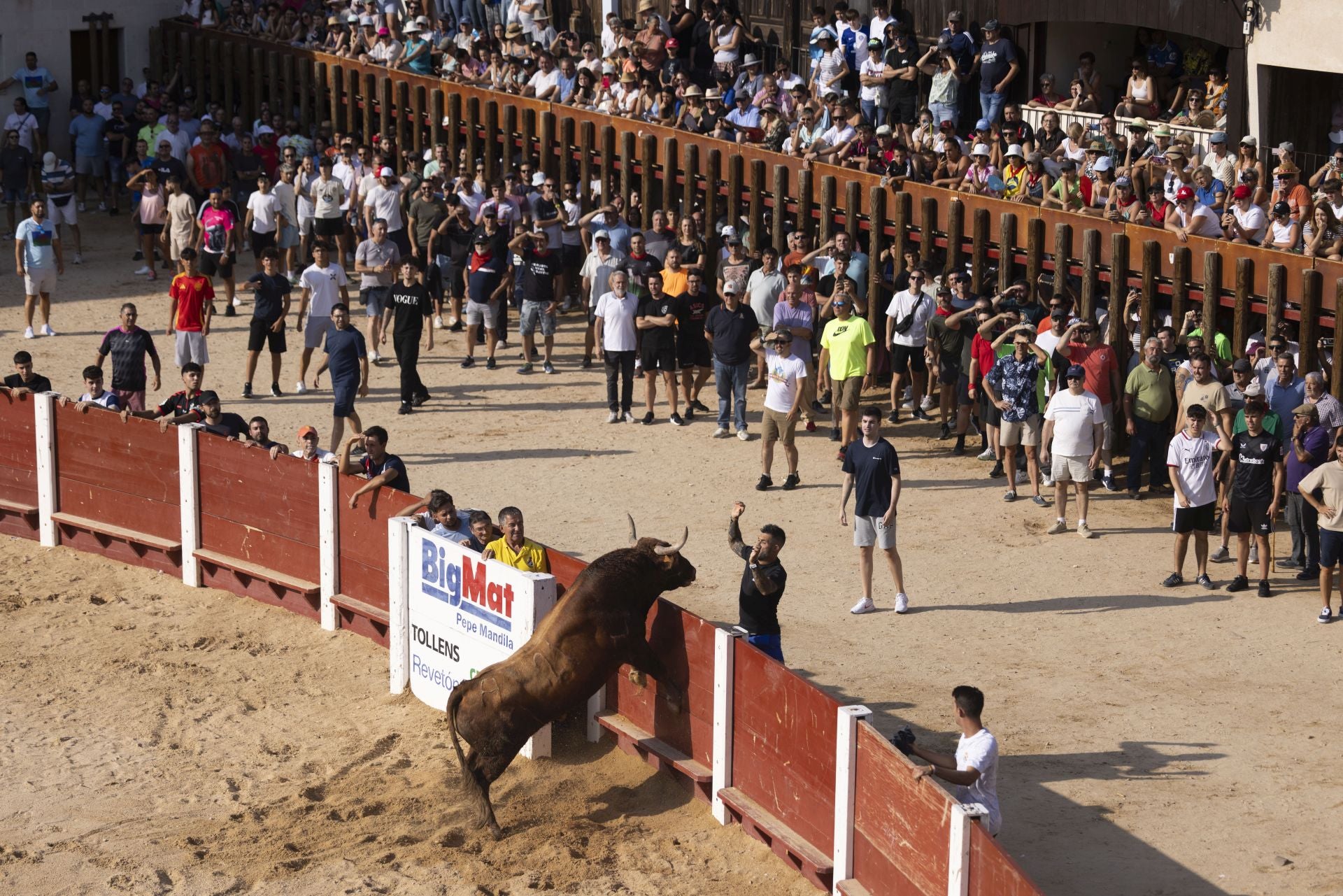 Las imágenes del encierro de Peñafiel de este viernes