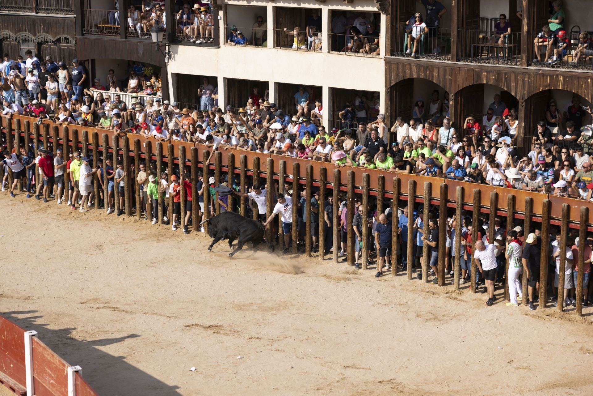 Las imágenes del encierro de Peñafiel de este viernes