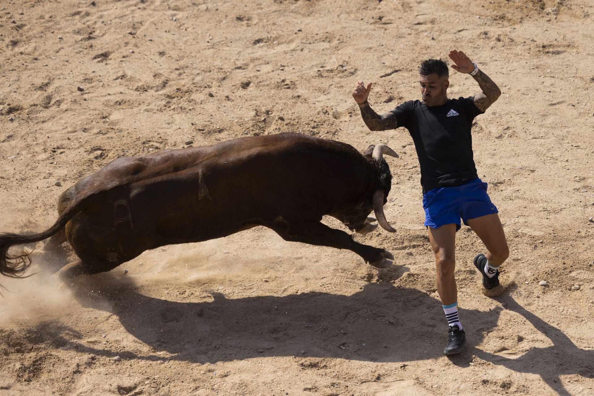 Las imágenes del encierro de Peñafiel de este viernes