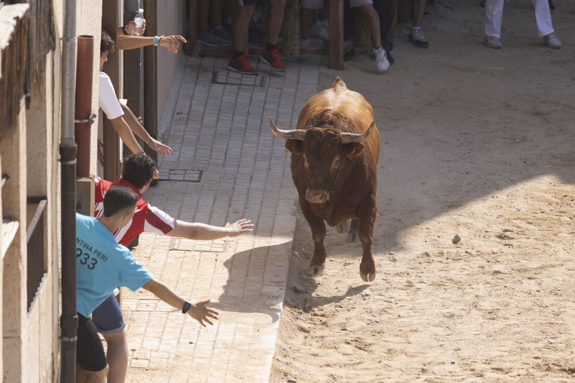 Las imágenes del encierro de Peñafiel de este viernes