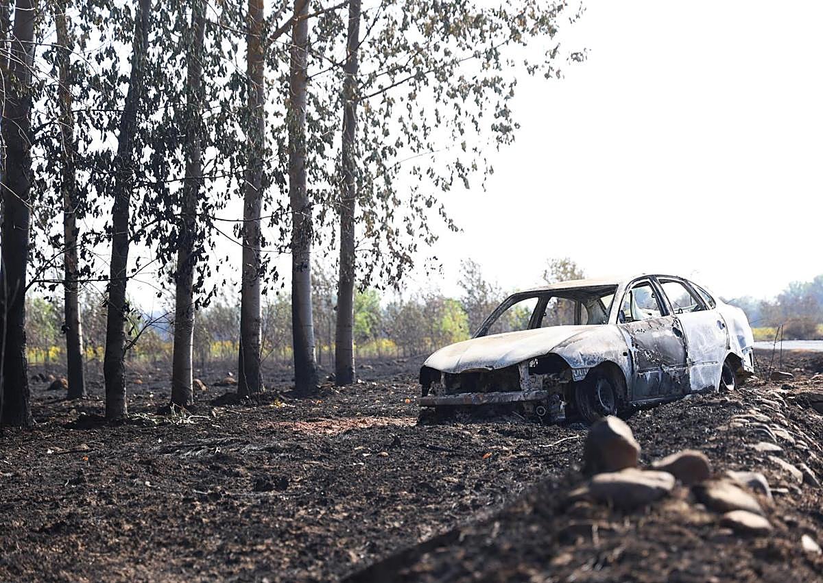Imagen secundaria 1 - Varios de los efectos del incendio de Castrocalbón en León