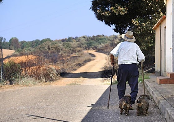 Un hombre pasea a sus perros por Palacios de Jamuz, que fue evacuado este martes.