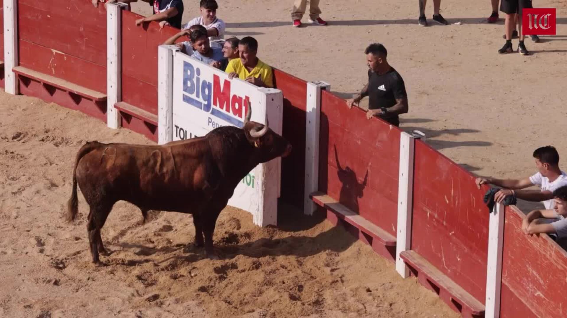 Dos heridos leves y una lesionada en el encierro de Peñafiel