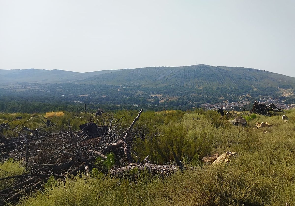 La Sierra de la Culebra ya no tiene el bosque que era en 2022.