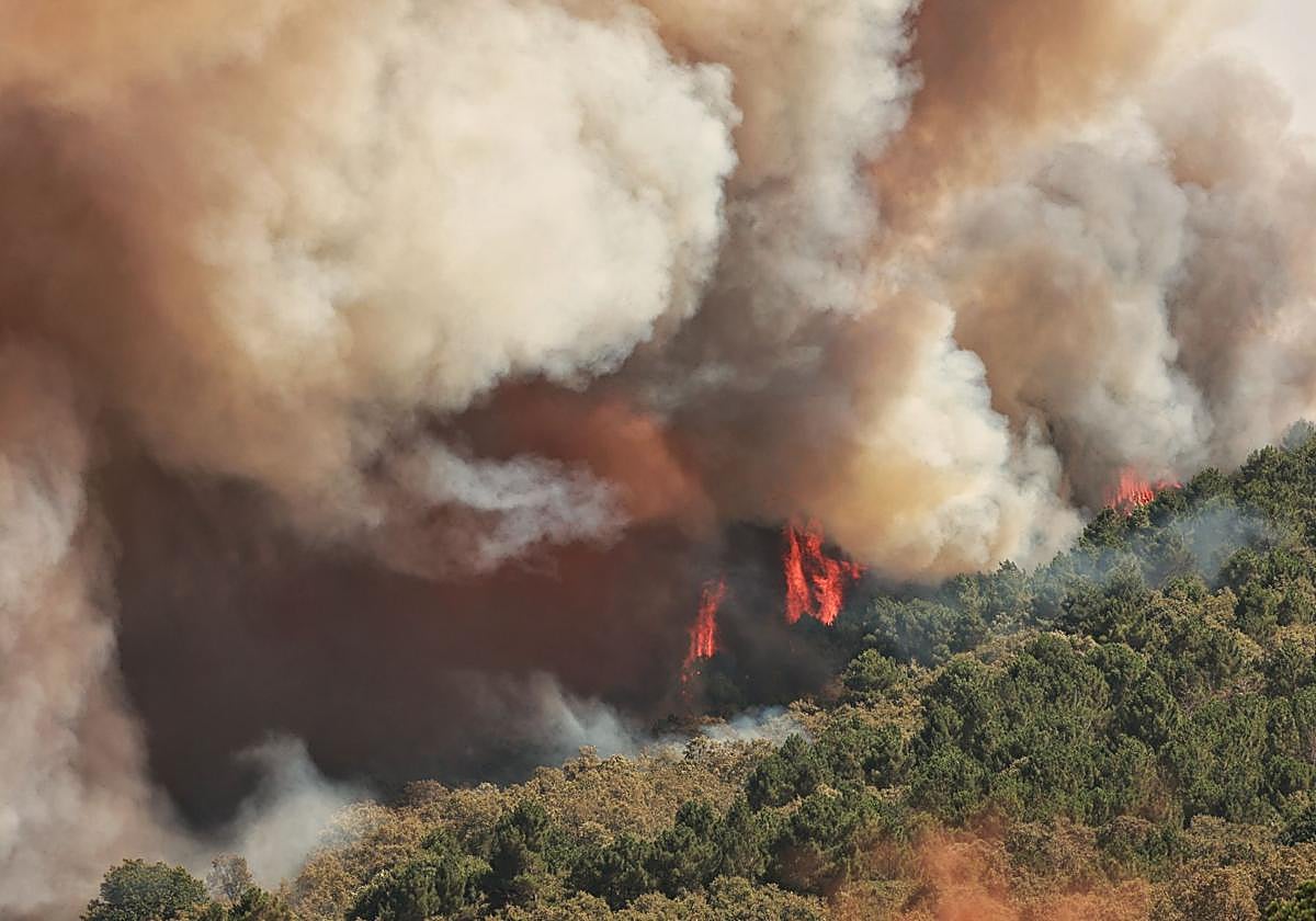 Incendio de nivel 2 en la localidad salmatina de El Payo